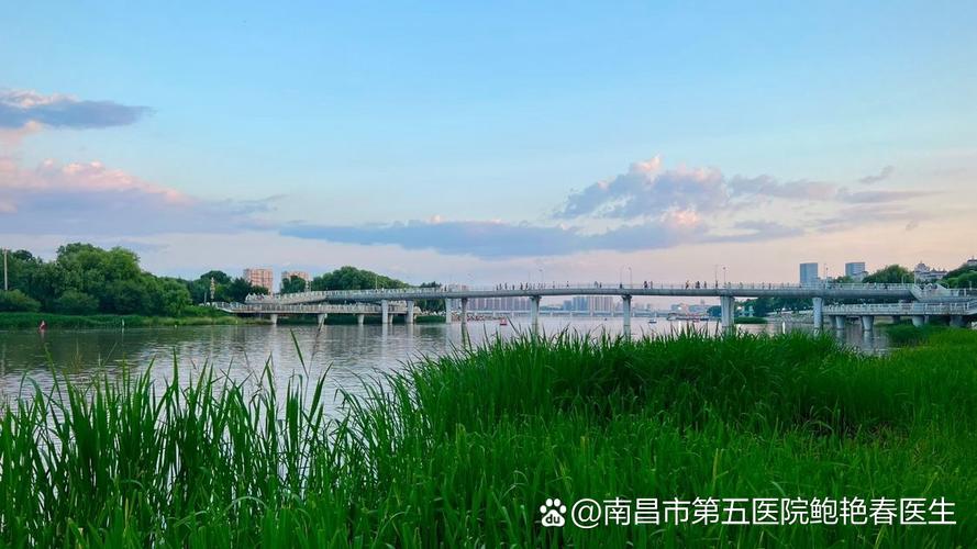 玉山红粉灯快餐一条街服务: 令人争议的观点，难道我们不该思考其合理性？_中国不惹事也绝不怕事